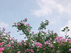 -中国人民抗日战争纪念雕塑园