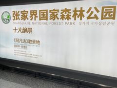-张家界荷花国际机场