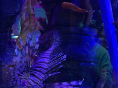 -沈阳海洋探索中心