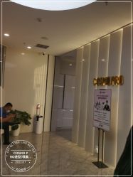 点击看大图 -COSMO PRO造型