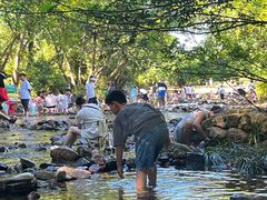 -陶祖圣境风景区