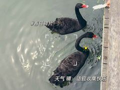 -五缘湾湿地公园