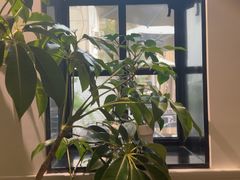 -一尺花园(安和花园店)