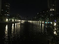 -新湖明珠城