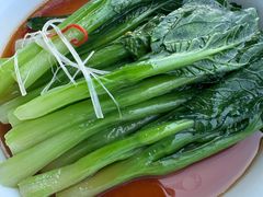 -茶人村·前滩江景雅宴(上海首店)