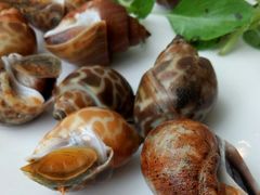 -海大大蒸汽海鲜餐厅·粤菜·特色小炒(欢乐颂店)