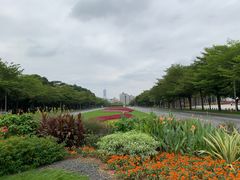 -深圳国际园林花卉博览园