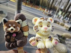 -北京野生动物园