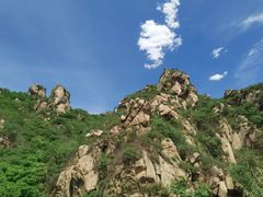 -大岭沟猕猴桃谷风景区
