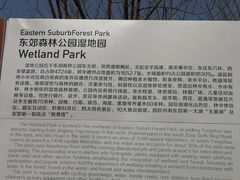 -东郊湿地公园