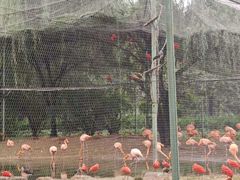 -石家庄市动物园