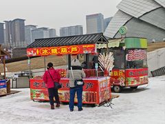 -沈阳奥体冰雪嘉年华