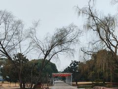 -上海滨江森林公园