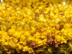 -金逸影城(武汉人信汇IMAX店)