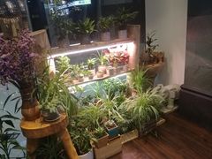-十二舍·湯物素煮(江泰潤政店)