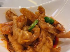 -润园四季椰子鸡火锅(南山海岸城店)