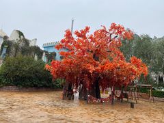 -郑州方特梦幻王国