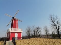 -羊亭河湿地公园