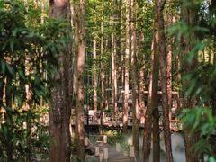 -东明山森林公园