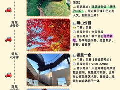 -紫藤园·天目湖大鱼头(南山竹海店)