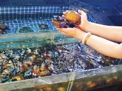 -千岛湖小鱼儿·淳安匠心农家菜