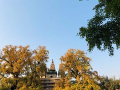 -北京石刻艺术博物馆(五塔寺)
