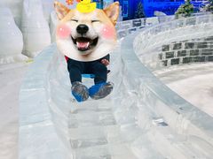 -杭州少年儿童公园