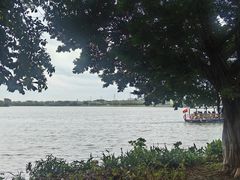-海珠湖公园