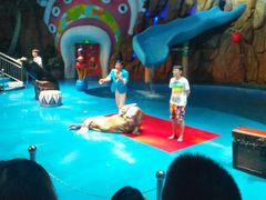 -烟台海昌鲸鲨海洋公园