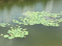 iphone_upload_pic-王家小院