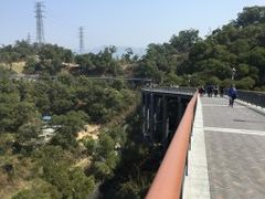 -金鸡山公园