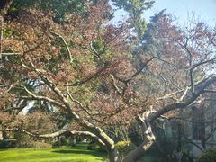 -浙江西子宾馆·瑶园咖啡厅