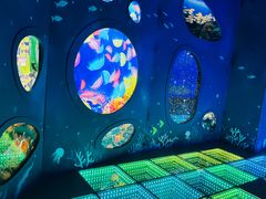 -海合安青岛极地海洋公园