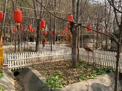 -草根堂农场