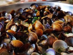 -小北江河鲜(新城店)