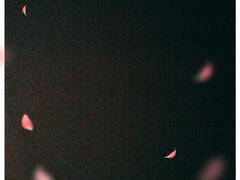 -今邕烧烤(西大店)