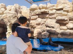 -华夏文旅海洋公园