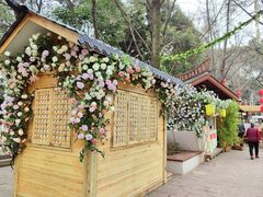 -成都市活水公园