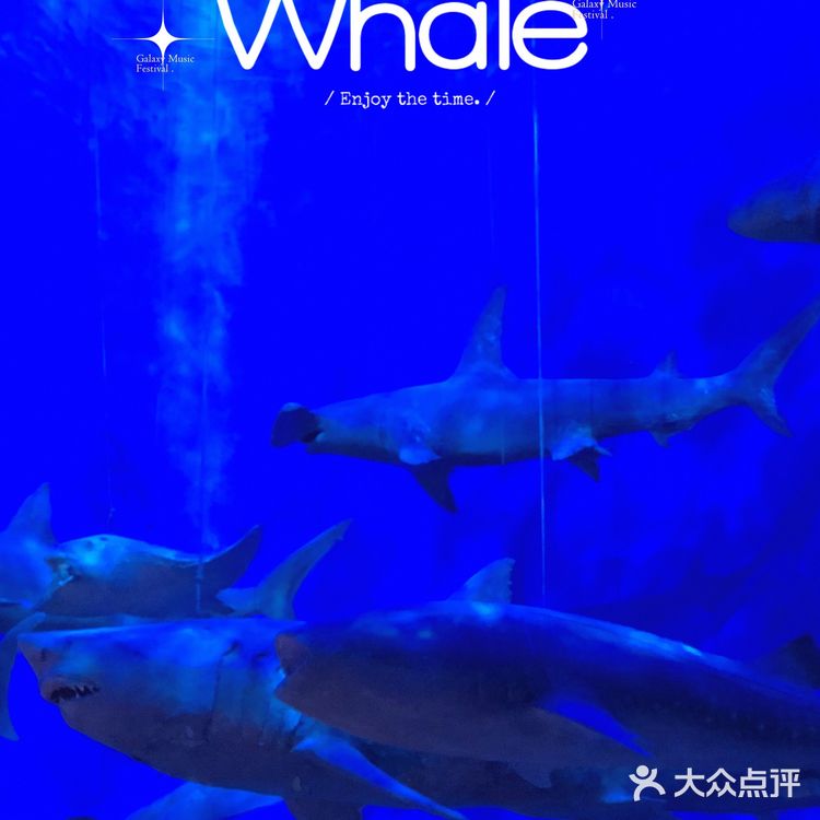 避坑⚠️大家不要像我这样傻傻的走一趟🙈#溜娃 #免费