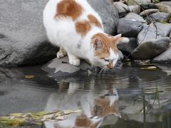 -苏州河梦清园环保主题公园