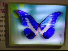 -上海昆虫博物馆