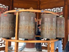 -上海东林寺(金山区)