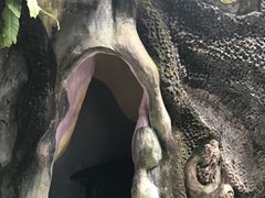 -疯狂屋