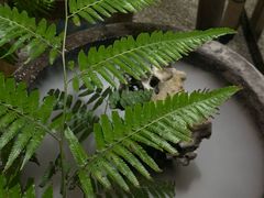 -长禧家·珑厨(东山口店)