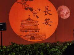 -大唐不夜城