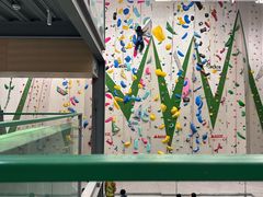 -绿壁虎攀岩基地(Tcar店)