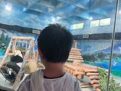 -柳州市动物园