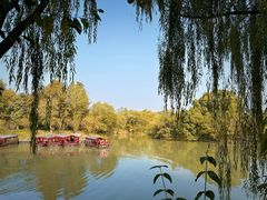 -西溪国家湿地公园