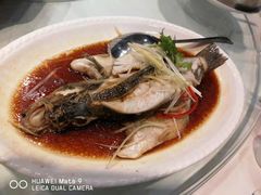 清蒸鲈鱼-文杏酒楼(一品天下店)