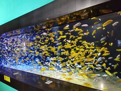 -成都浩海立方海洋公园